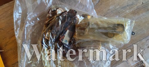 IMG_20230822_191345